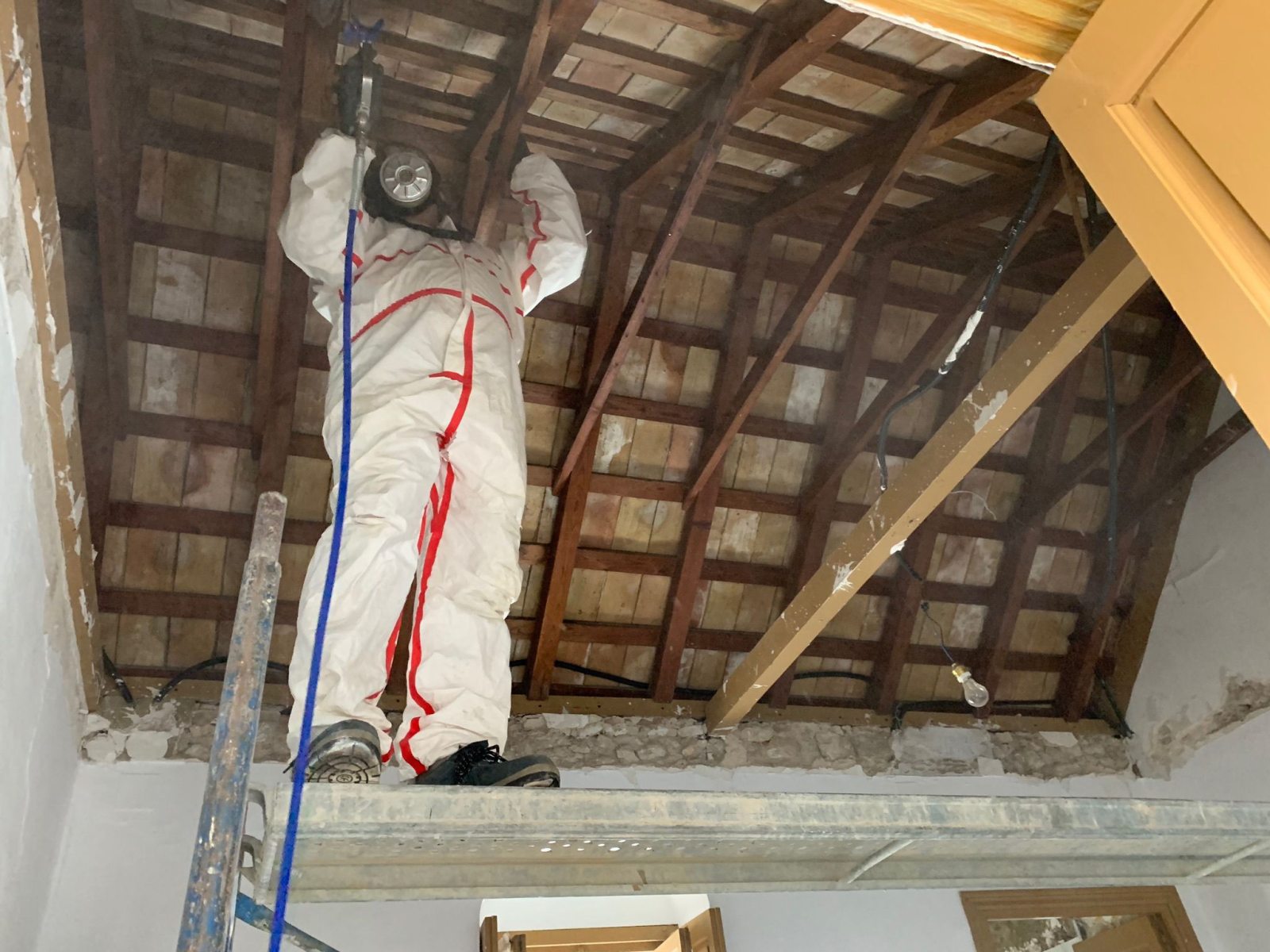 trabajos-ast-pestcontrol-26 trabajos-ast-pestcontrol-26