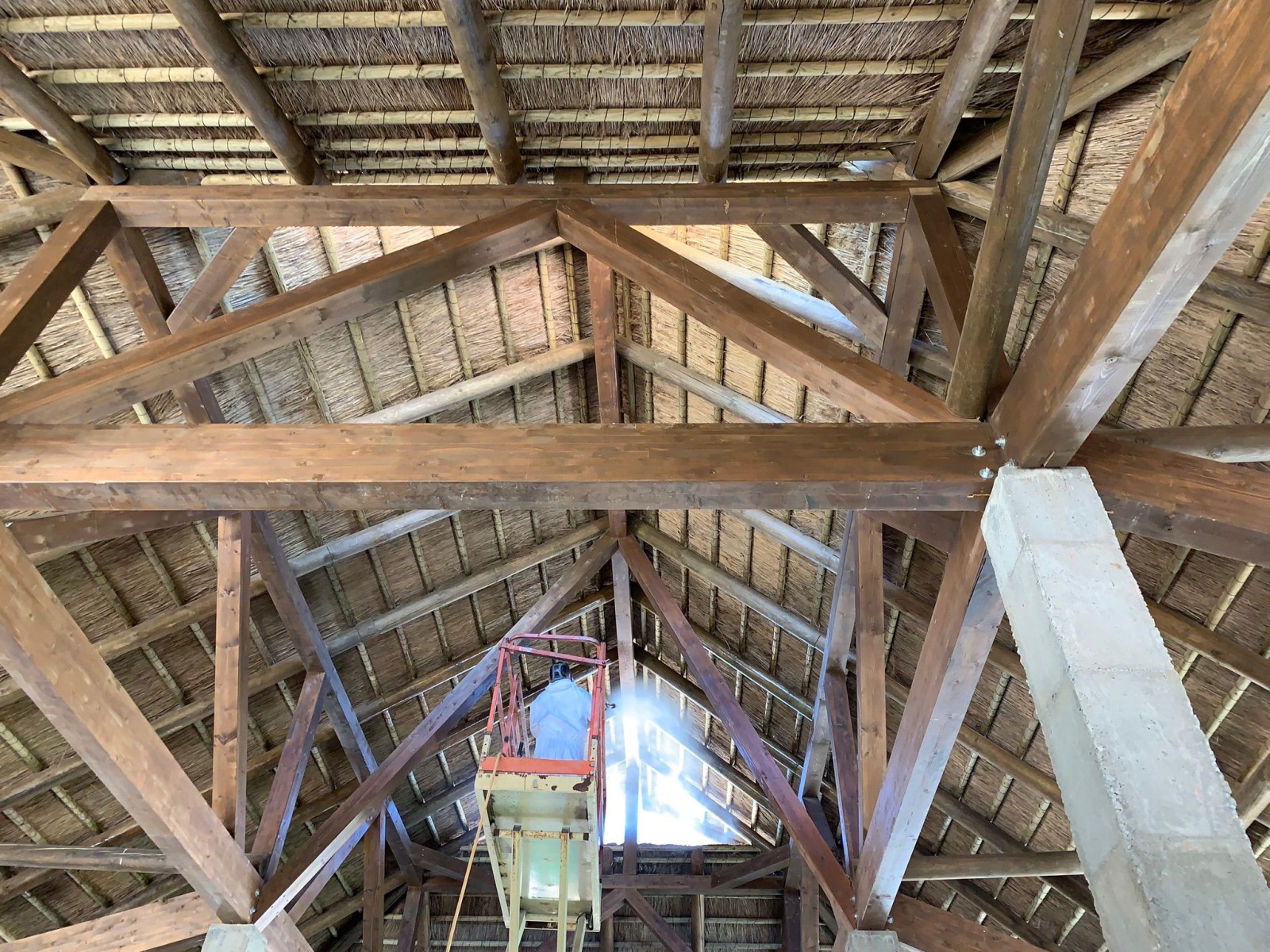 trabajos-ast-pestcontrol-40 trabajos-ast-pestcontrol-40