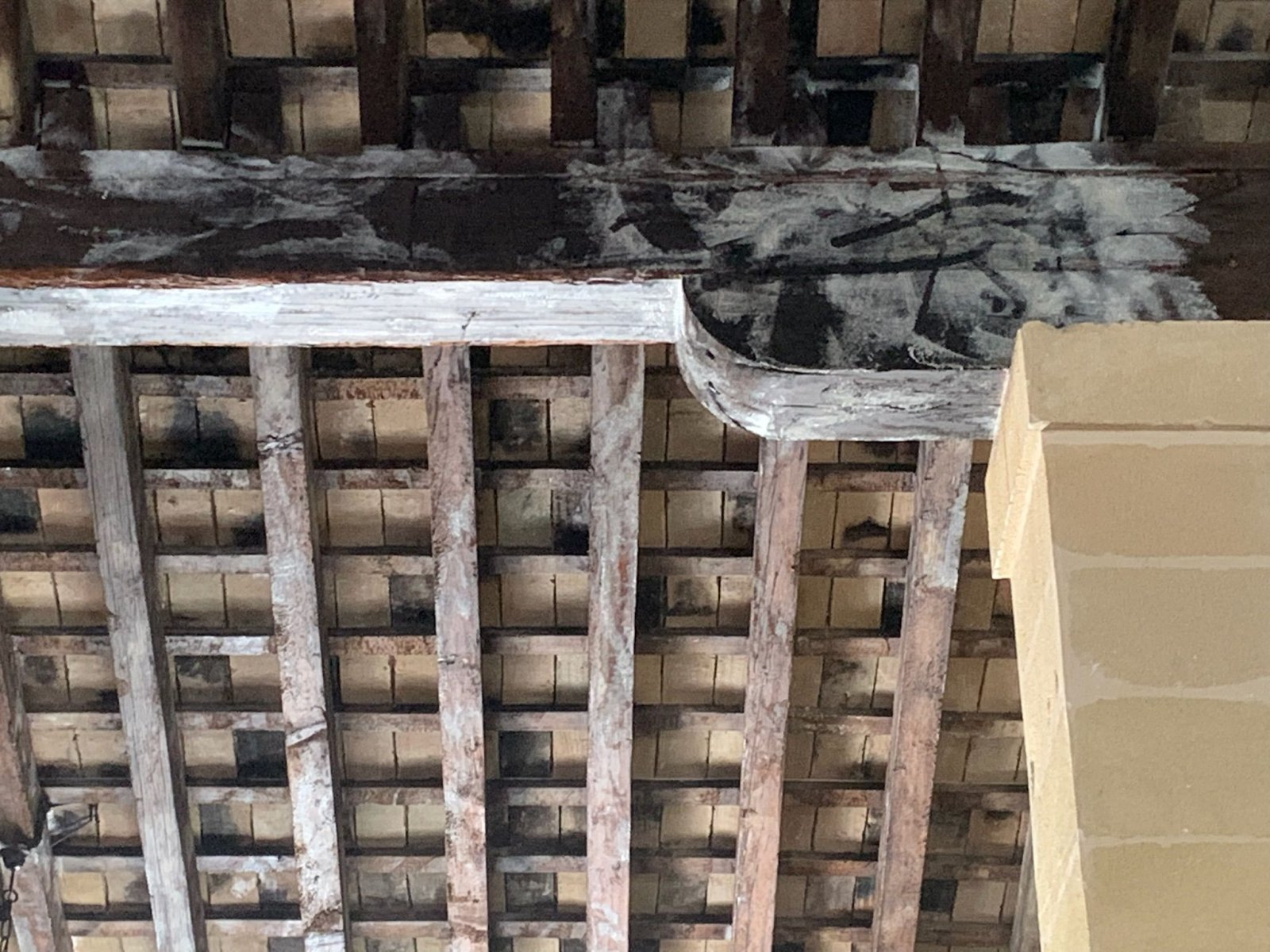 trabajos-ast-pestcontrol-45 trabajos-ast-pestcontrol-45