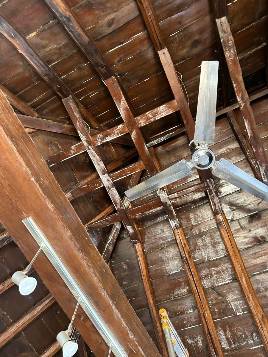 trabajos-ast-pestcontrol-59 trabajos-ast-pestcontrol-59