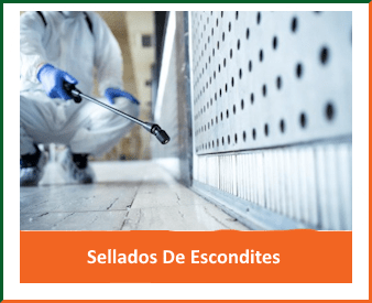 Sellado de escondites-ast-pestcontrol