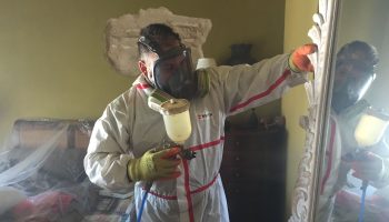 Trabajos ast.pestcontrol-22