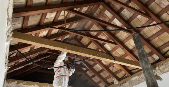 Trabajos ast.pestcontrol-27