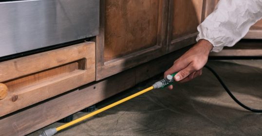 Tratamientos de madera plagas ast-pestcontrol